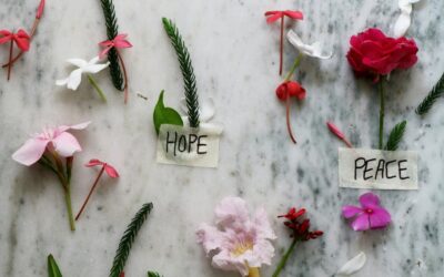 L’UNICA CERTEZZA E’ LA SPERANZA