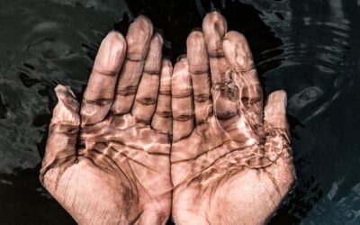 Le 5 metafore sulla resilienza