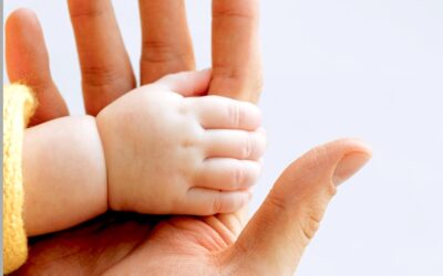 L’importanza della sicurezza relazionale